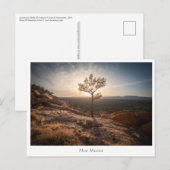 New Mexico Landscape Foto Postkarte (Vorne/Hinten)