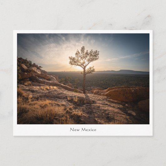 New Mexico Landscape Foto Postkarte (Vorderseite)