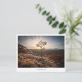 New Mexico Landscape Foto Postkarte (Stehend Vorderseite)