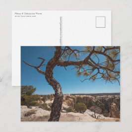 New Mexico Landscape Foto Postkarte