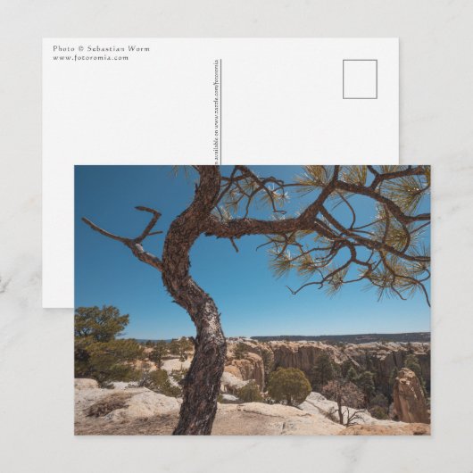 New Mexico Landscape Foto Postkarte (Vorne/Hinten)