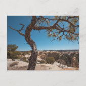 New Mexico Landscape Foto Postkarte (Vorderseite)