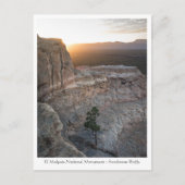 New Mexico Landscape Foto Postkarte (Vorderseite)