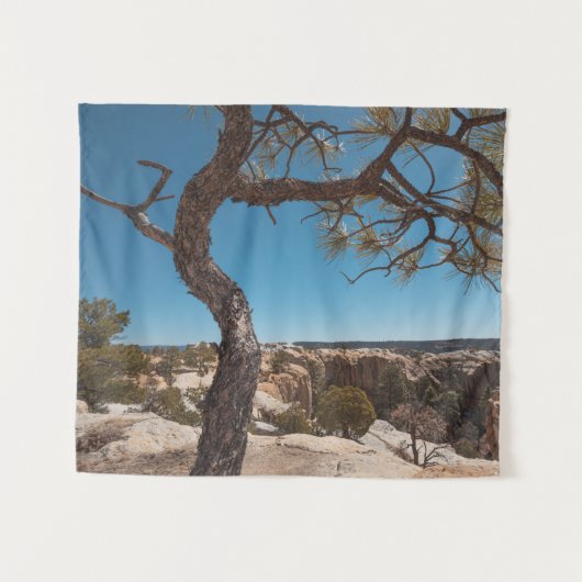 New Mexico Landscape Foto Wandteppich (Vorderseite (Horizontal))