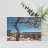 New Mexico Landscape Fotokarte (Stehend Vorderseite)
