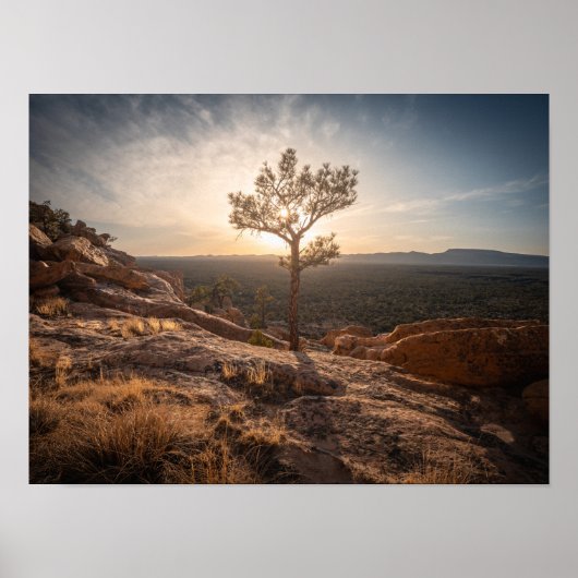 New-Mexico-Landschaftsfoto Poster (Vorne)