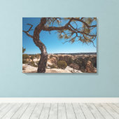 New Mexico Landschaftsfotografie Leinwanddruck (Insitu (Holzboden))