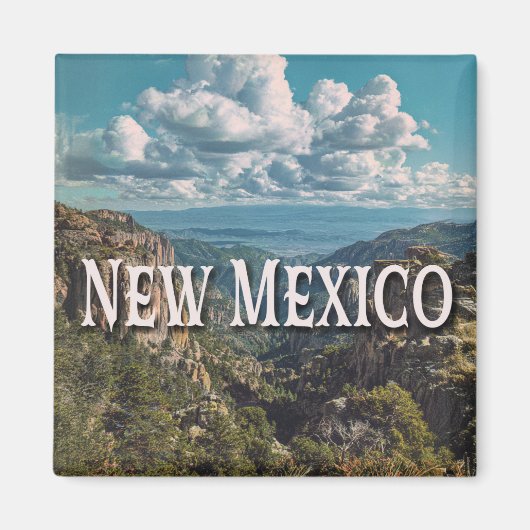 New Mexico Magnet (Vorne)
