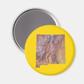 New Mexico Map Magnet (Vorderseite/Rückseite)