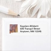 New Mexico Map Rücksendeadresse (Insitu)