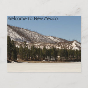 New Mexico Postcard Postkarte