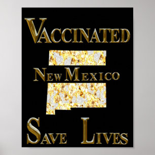 NEW MEXICO POSTER