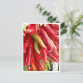 New Mexico Red Chili Postkarte (Stehend Vorderseite)