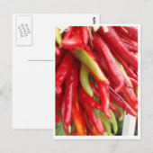 New Mexico Red Chili Postkarte (Vorne/Hinten)