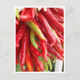 New Mexico Red Chili Postkarte