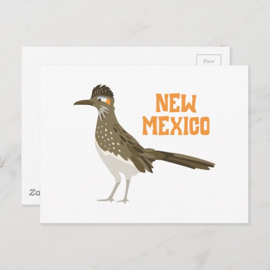 New Mexico Roadrunner Postkarte (Vorne/Hinten)