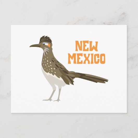 New Mexico Roadrunner Postkarte (Vorderseite)