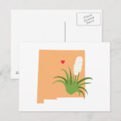 New Mexico Staat Postkarte (Vorne/Hinten)