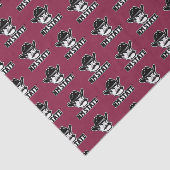 New Mexico State University Abschluss 6 Seidenpapier (Ausschnitt)