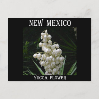 New Mexico Yucca-Blume Postkarte