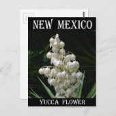 New Mexico Yucca-Blume Postkarte (Vorne/Hinten)