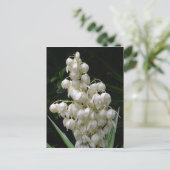 New Mexico Yucca-Blume Postkarte (Stehend Vorderseite)