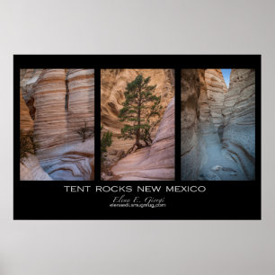 New Mexico Zent Rocks Poster