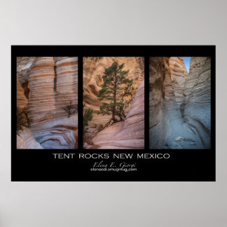 New Mexico Zent Rocks Poster