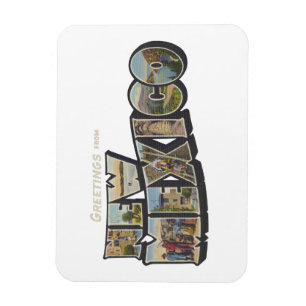 New Mexiko Magnet