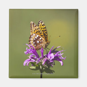 New-Mexiko, USA Magnet