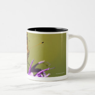 New-Mexiko, USA Zweifarbige Tasse