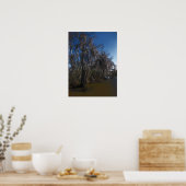 New Orleans Bayou Poster (Küche)