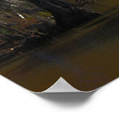 New Orleans Bayou Poster (Ecke)