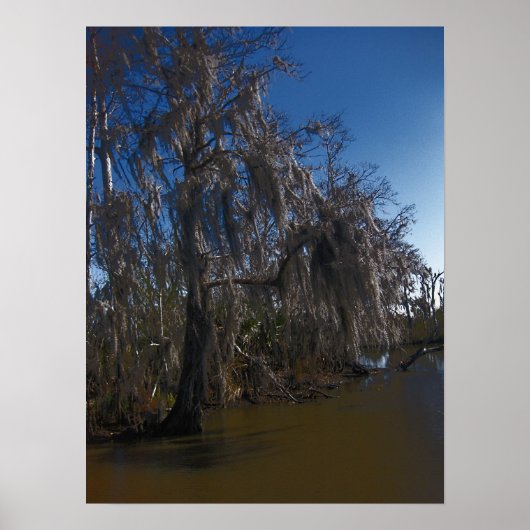 New Orleans Bayou Poster (Vorne)