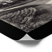 New Orleans City Park Foto 1909 Poster (Ecke)