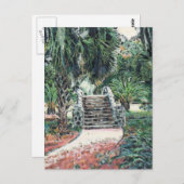 New Orleans City Park Postkarte (Vorne/Hinten)