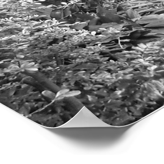 New Orleans Courtyard Poster (Ecke)