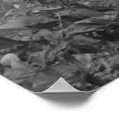 New Orleans Gargoyle Poster (Ecke)