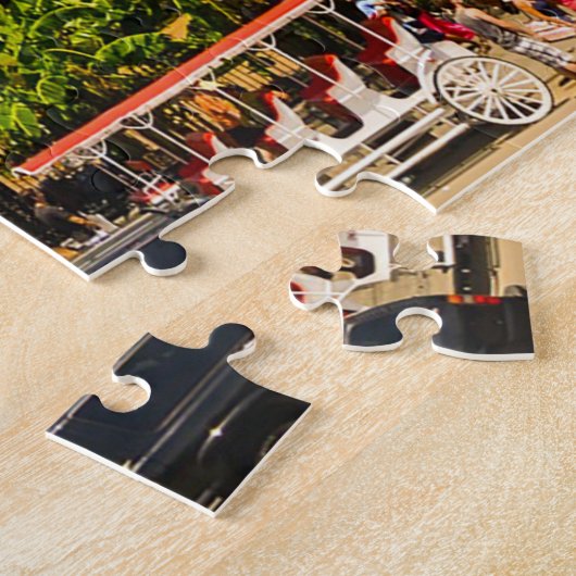New Orleans Jackson Square. Jigsaw Puzzle (Seite)