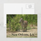 New Orleans, LA Postcard Postkarte (Vorne/Hinten)