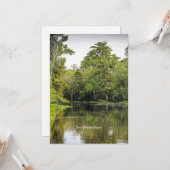 New Orleans, Louisiana, bayou, Karte (Vorderseite/Rückseite Beispiel)