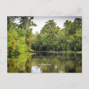 New Orleans, Louisiana, bayou, Postkarte