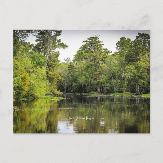 New Orleans, Louisiana, bayou, Postkarte (Vorderseite)