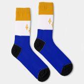 New Orleans (Louisiana) Stadtflagge Socken (Rechts)