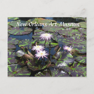 New Orleans Museum Postkarte