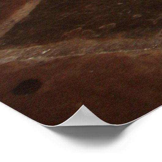 New Orleans Voodoo Altar Poster (Ecke)