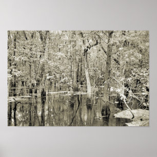 New- Orleanssumpf Poster