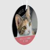 New Pet First Christmas Cat Kitten Foto Holiday Ornament (Vorderseite)