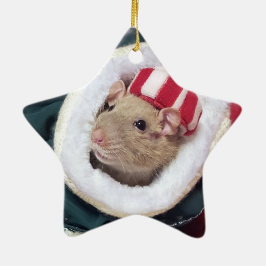 NEW! Pet Rat Coco Ornament (Hinten)