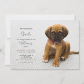 New Puppy Kitten Adoption Ankündigung Foto (Vorderseite)